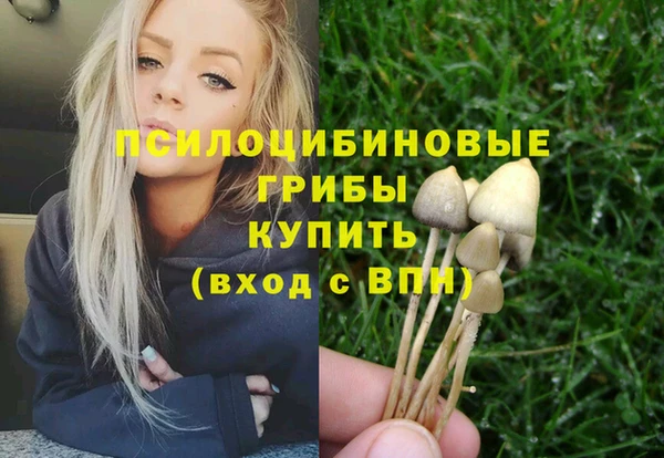 прущие крисы Алексеевка