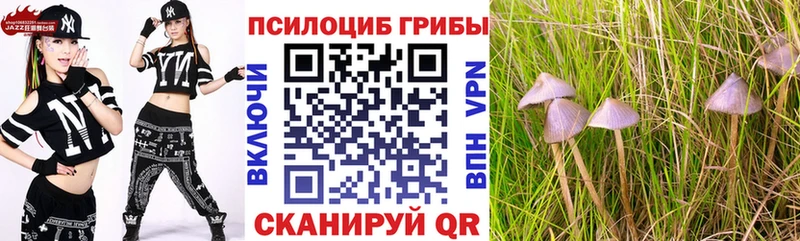 Галлюциногенные грибы мицелий  гидра онион  Красноуфимск  наркошоп 